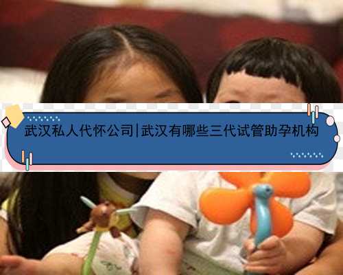 武汉私人代怀公司|武汉有哪些三代试管助孕机构